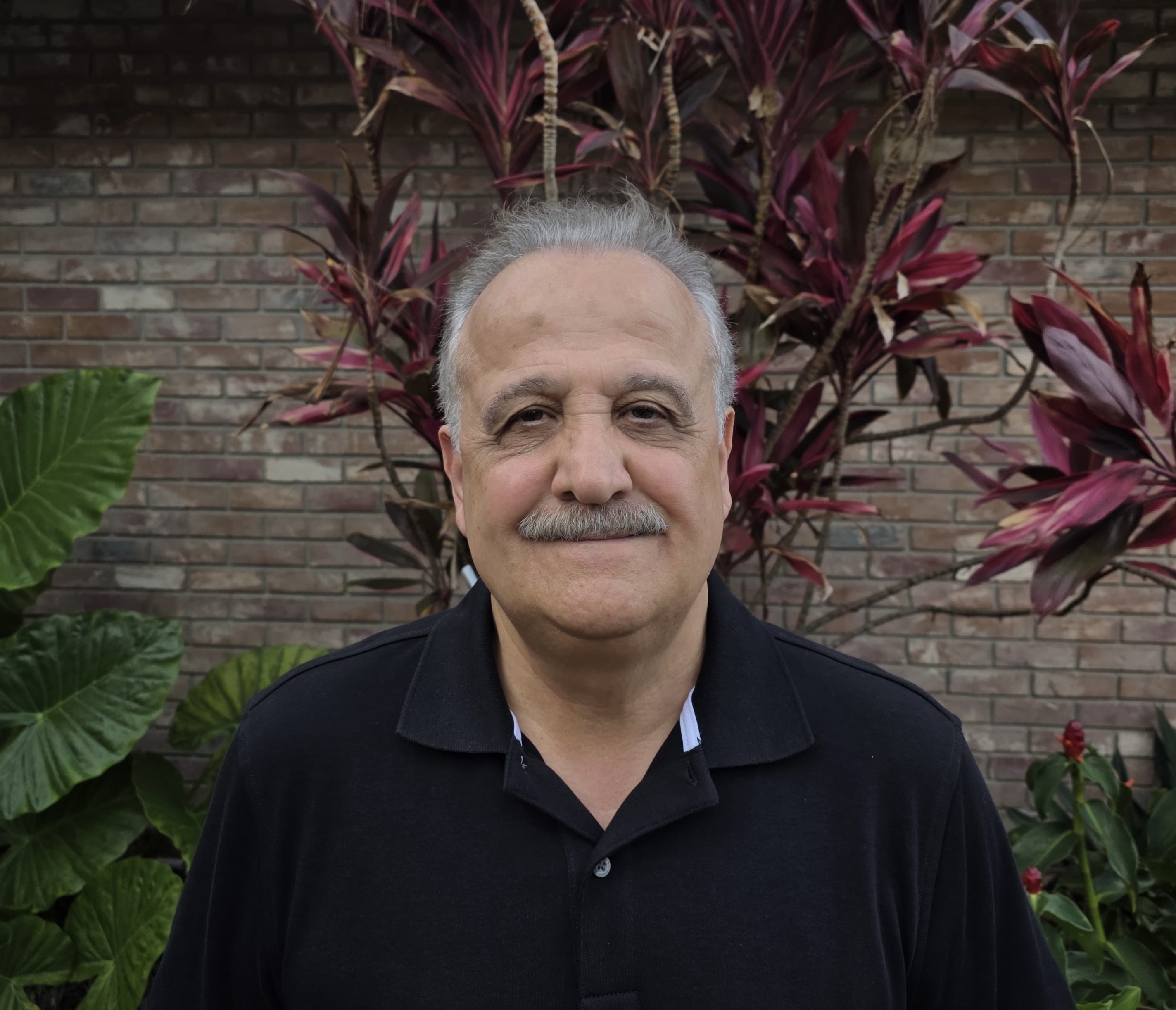 Adnan Georges - Professional Translator